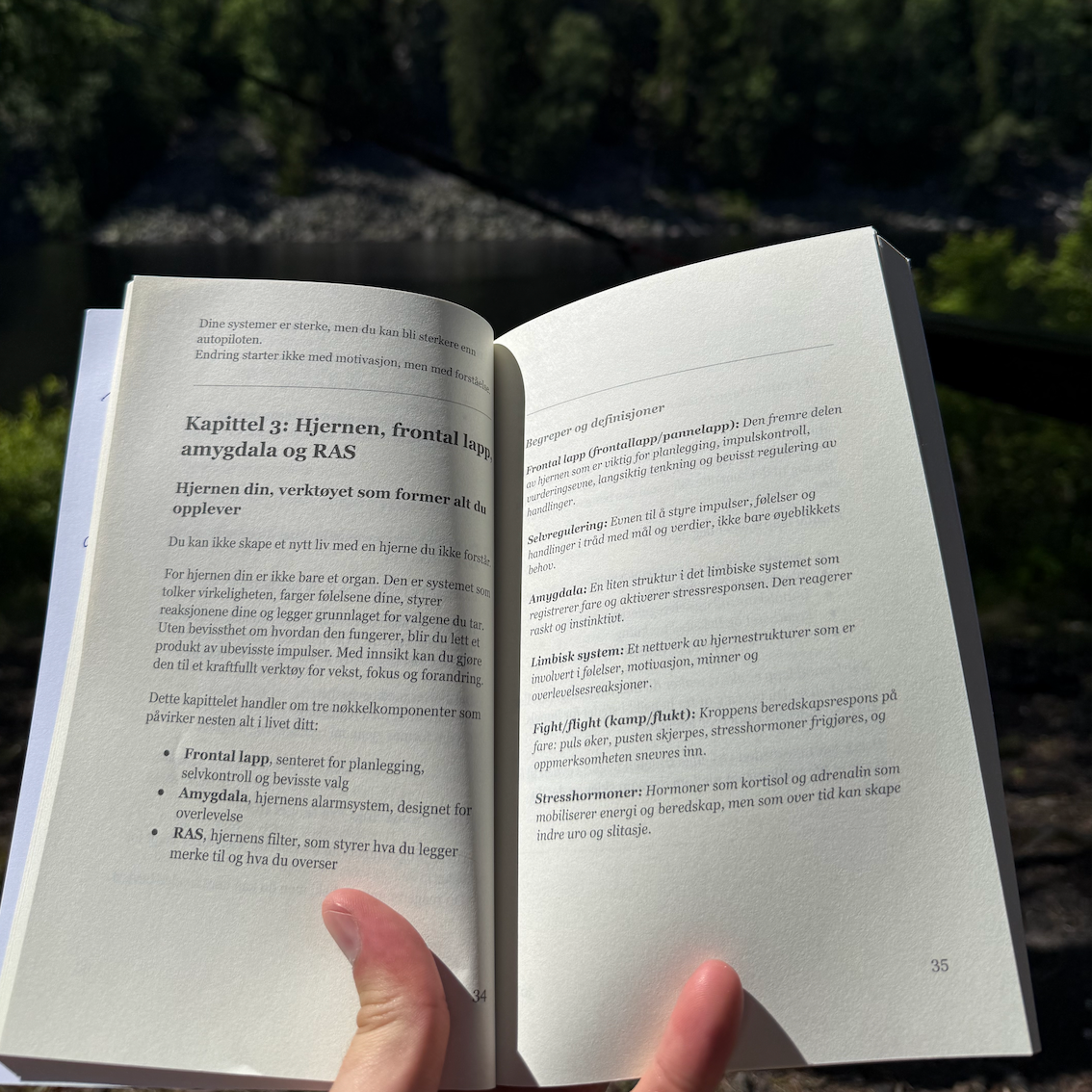 Den Bevisste Skaperen: En Manual for Livet