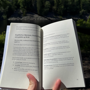 Den Bevisste Skaperen: En Manual for Livet