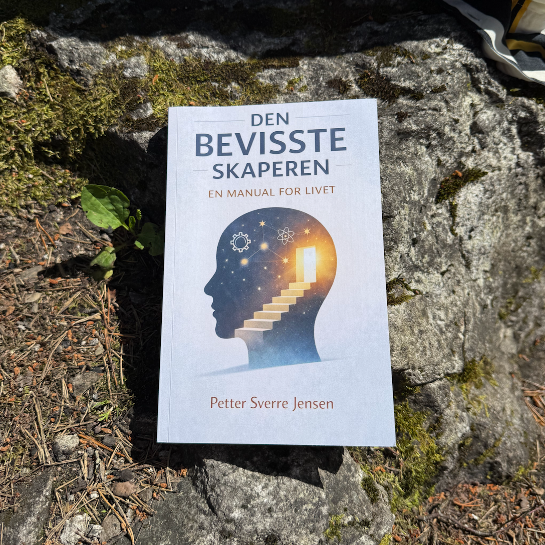 Den Bevisste Skaperen: En Manual for Livet